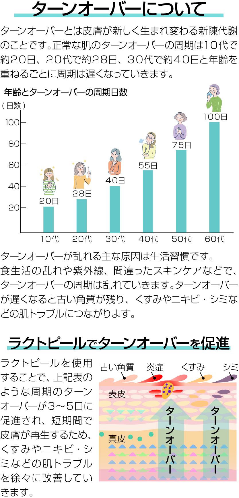 ターンオーバーについて ラクトピールでターンオーバーを促進